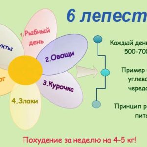 Диета «Шесть лепестков»